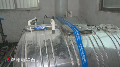 潮汕一面膜 黑加工場 被端,涉案產(chǎn)品超千萬元